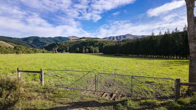 Upper Hook Road, Hunter Waimate_1