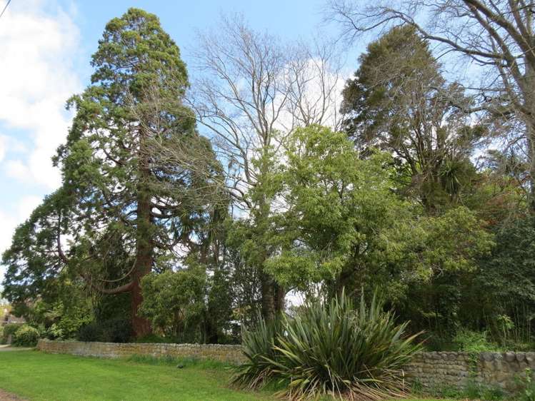 55 Hillcrest Street Solway_11