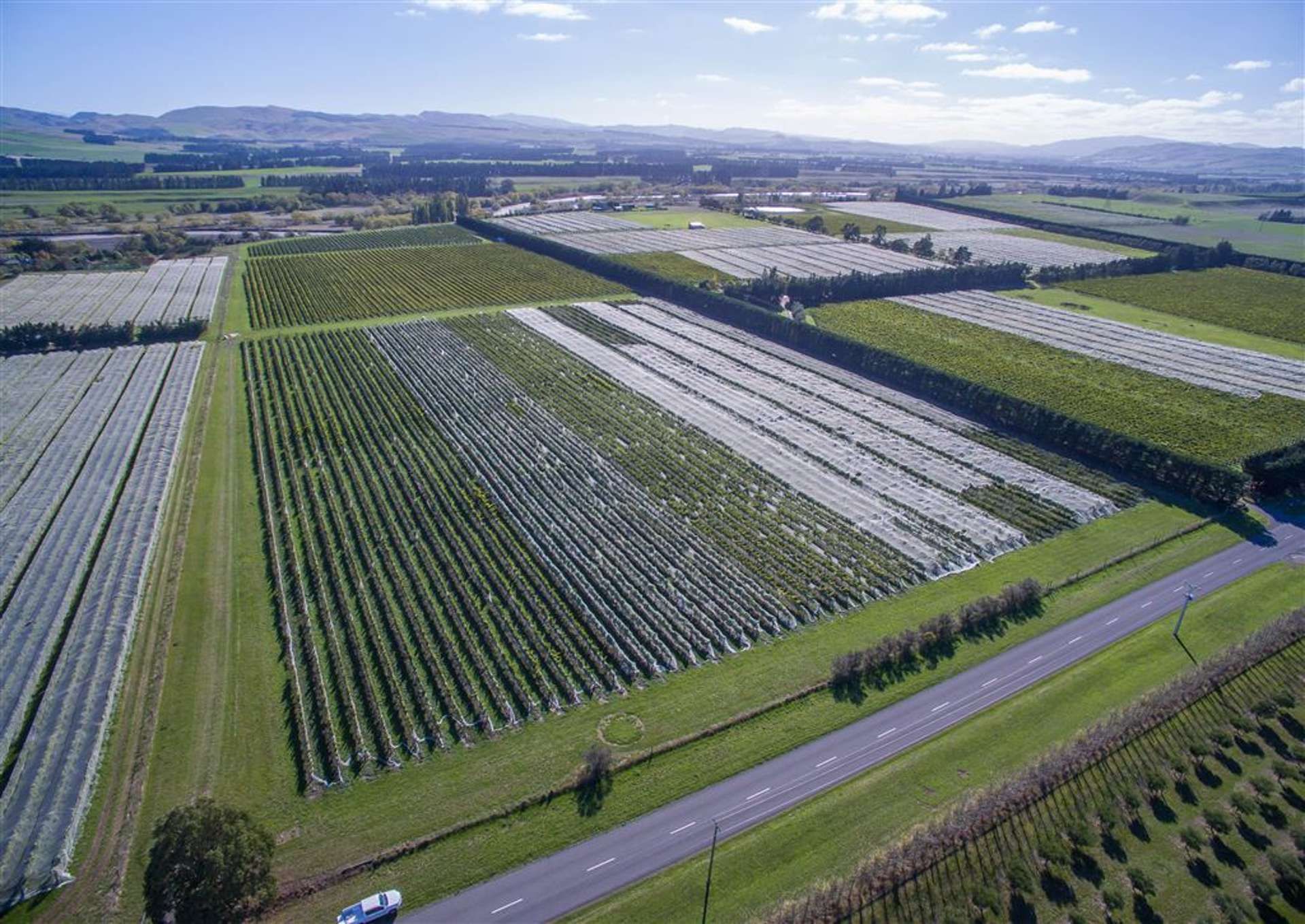 288 Georges Road Amberley_0