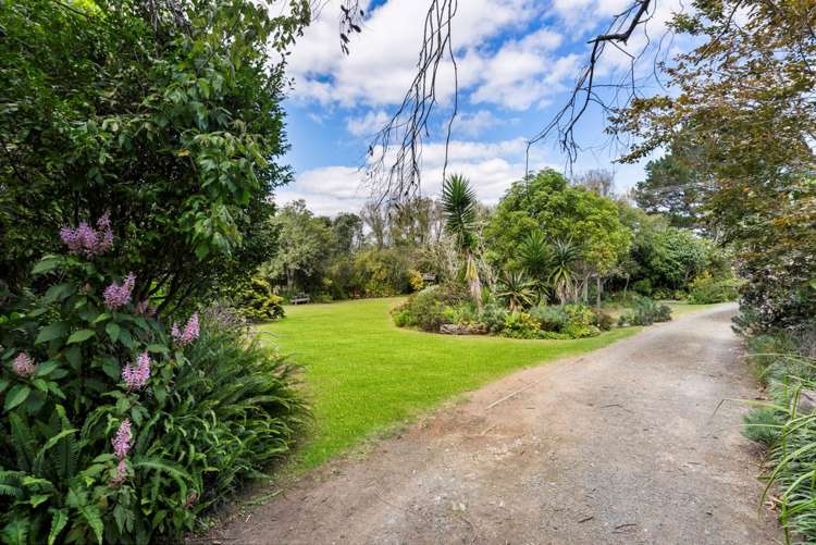 356 Shelly Beach Road South Head_21