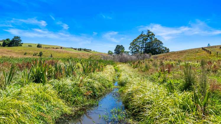 112 Kern Road Ramarama_12