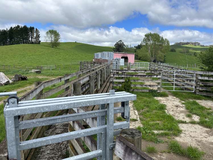 356 Lurman Road Otorohanga_6