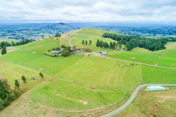 471 Sainsbury Road Pirongia_6
