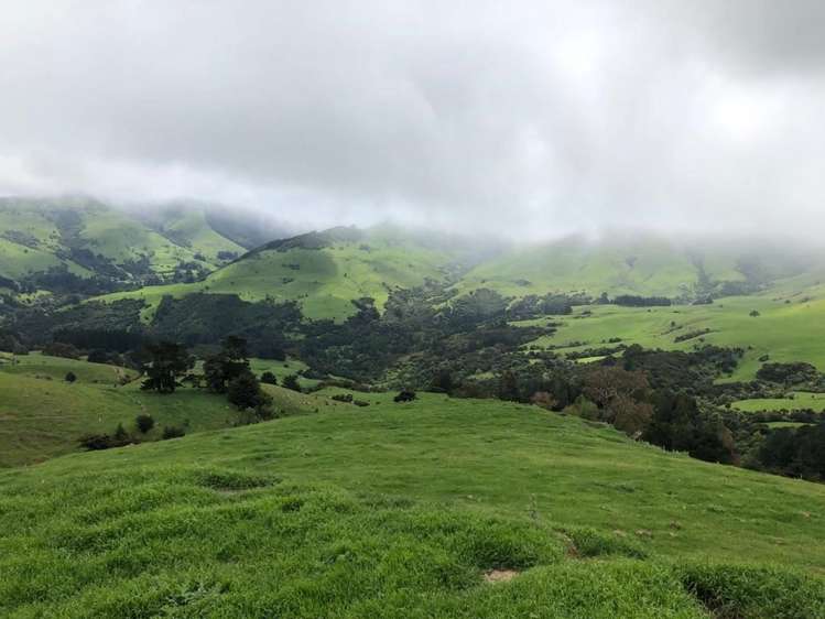 4990 Christchurch Akaroa Road Little River_5