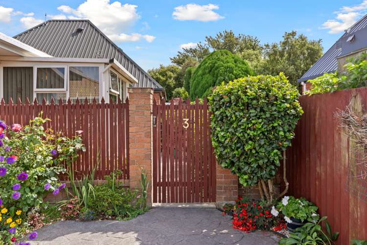 3/35 Avonhead Road Avonhead_12