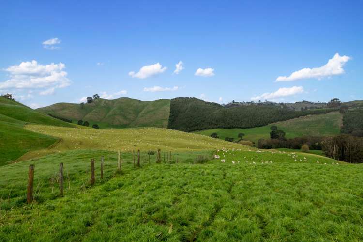 Coates Road Waikite Valley_8