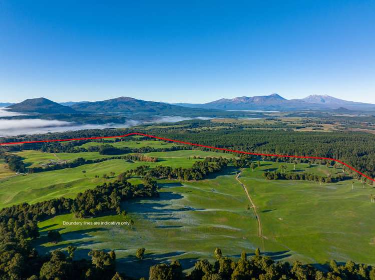 2709 State Highway 41 Kuratau_3