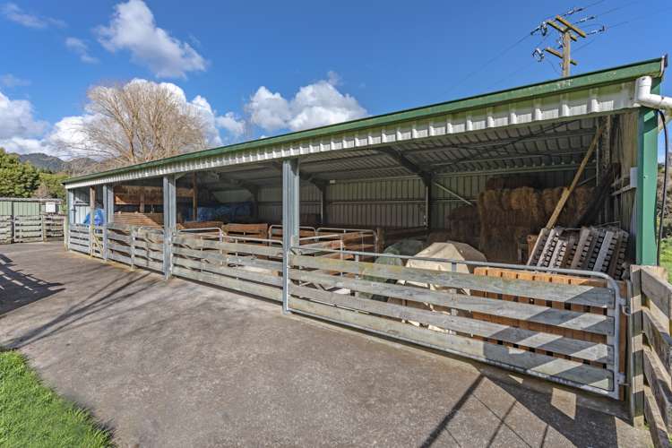 146 Omahu Valley Road Puriri_18