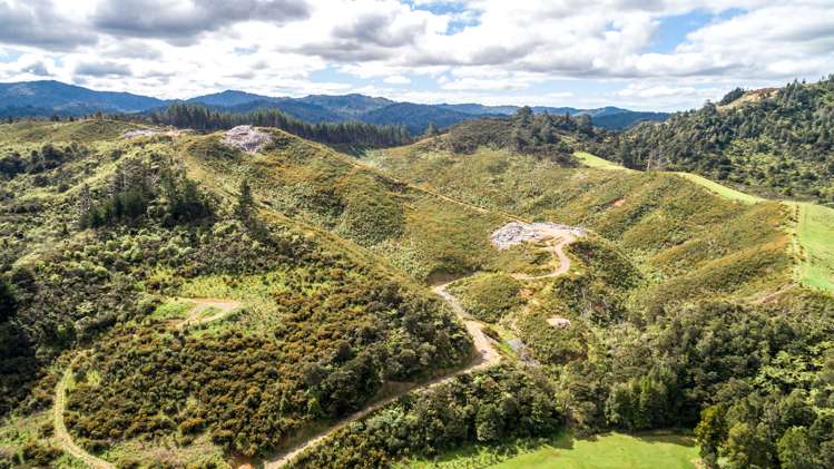 270 Kaimarama Road Kaimarama_15