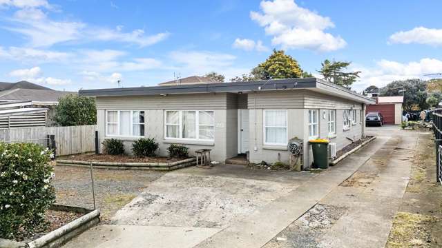 223 Puhinui Road Papatoetoe_1