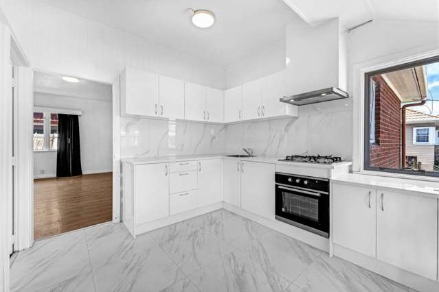 1342 Dominion Road Mt Roskill_3