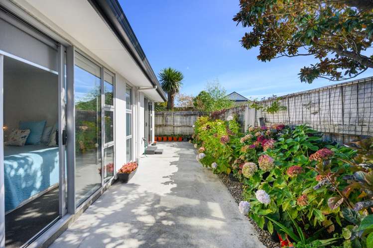 65b Albert Street Palmerston North Central_12