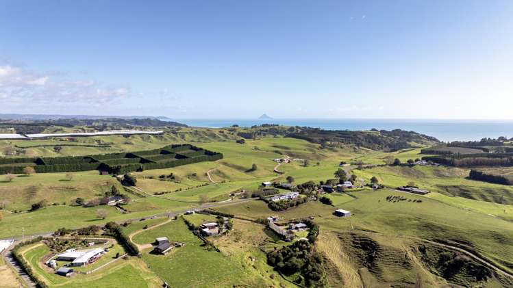 209 Paerata Ridge Road Waiotahe_28
