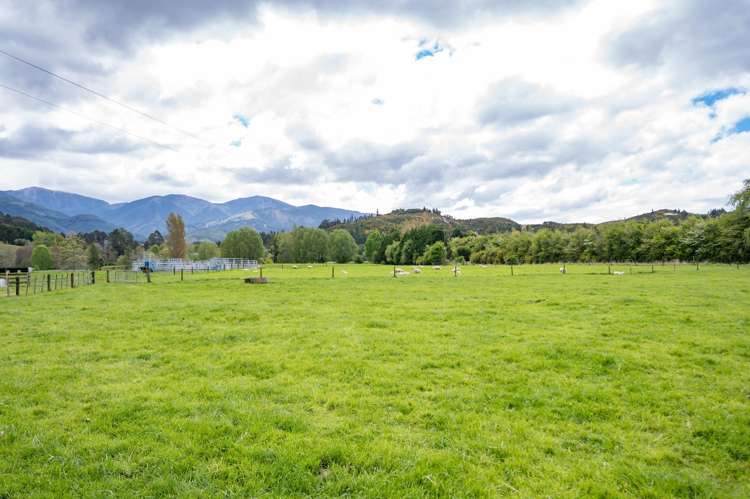 98 Thorpe-Orinoco Road Ngatimoti_38