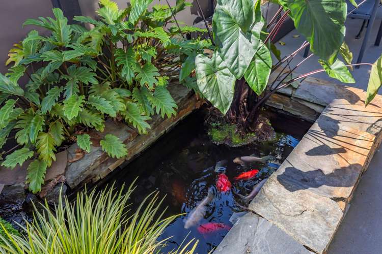 2/10 Ngaio Street Takapuna_7