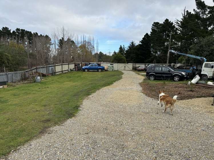 3276 Waikouaiti-Waitati Road Karitane_15