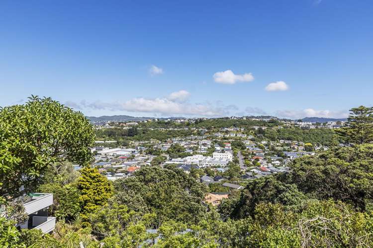 81 Nevay Road Miramar_1