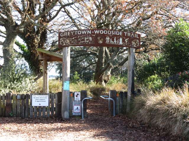 31 Cotterville Crescent Greytown_3