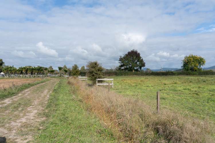 166 Crawford Road Te Kowhai_3