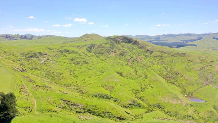 207 Mangatuna Road Weber_15