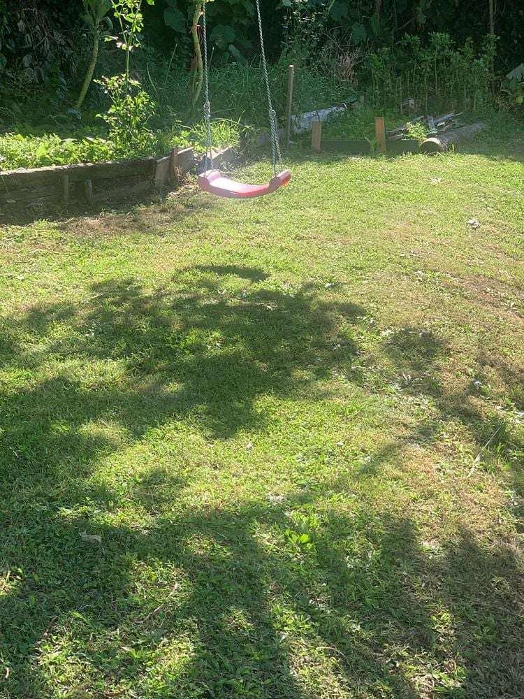 86 Toi Toi Street Toi Toi_9