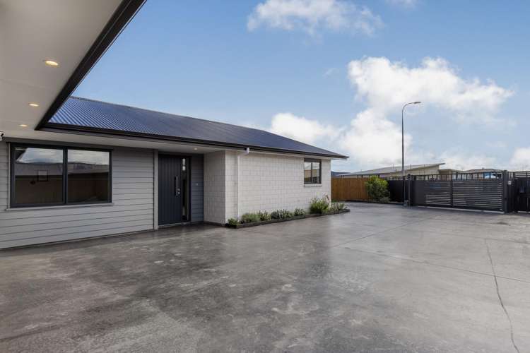 14 Ash Close Levin_27