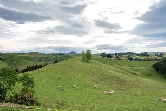 613 Matapiro Road Crownthorpe_1