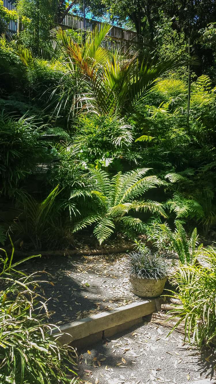 11a Randall Place Hospital Hill_8