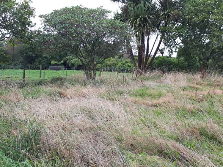 211 Surrey Road Tariki_7