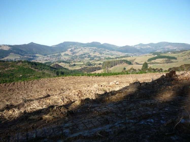 113 Wright Road Evansdale_13