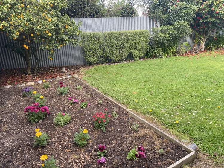 14 Papawai Road Greytown_19