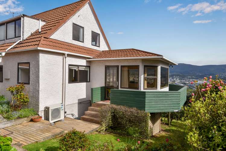 207 Larnach Road Waverley_30