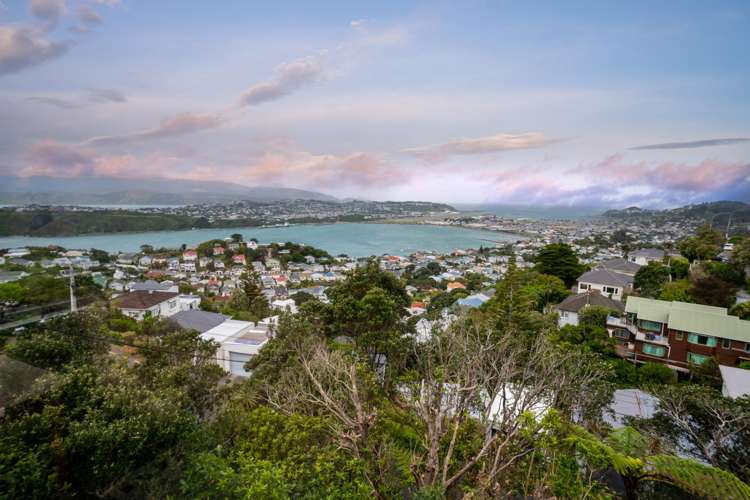 53 Marewa Road Hataitai_25