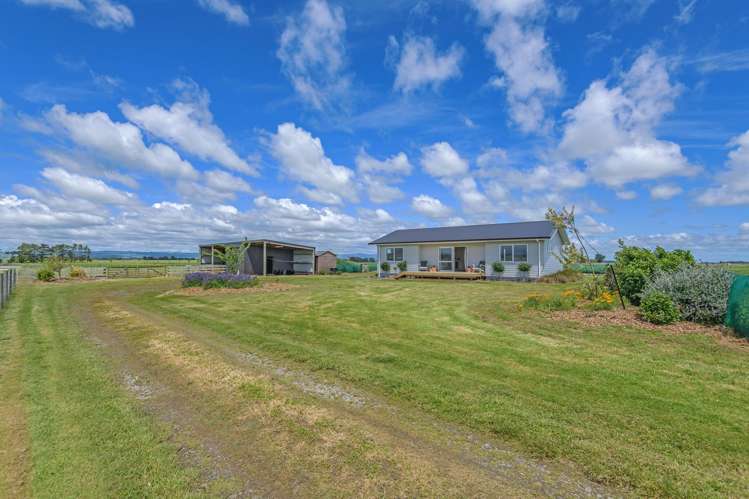 318C Taonui Road_0