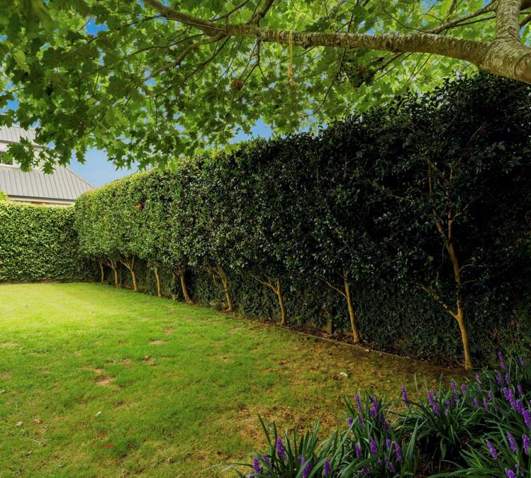 38 Stephens Place Hairini_29