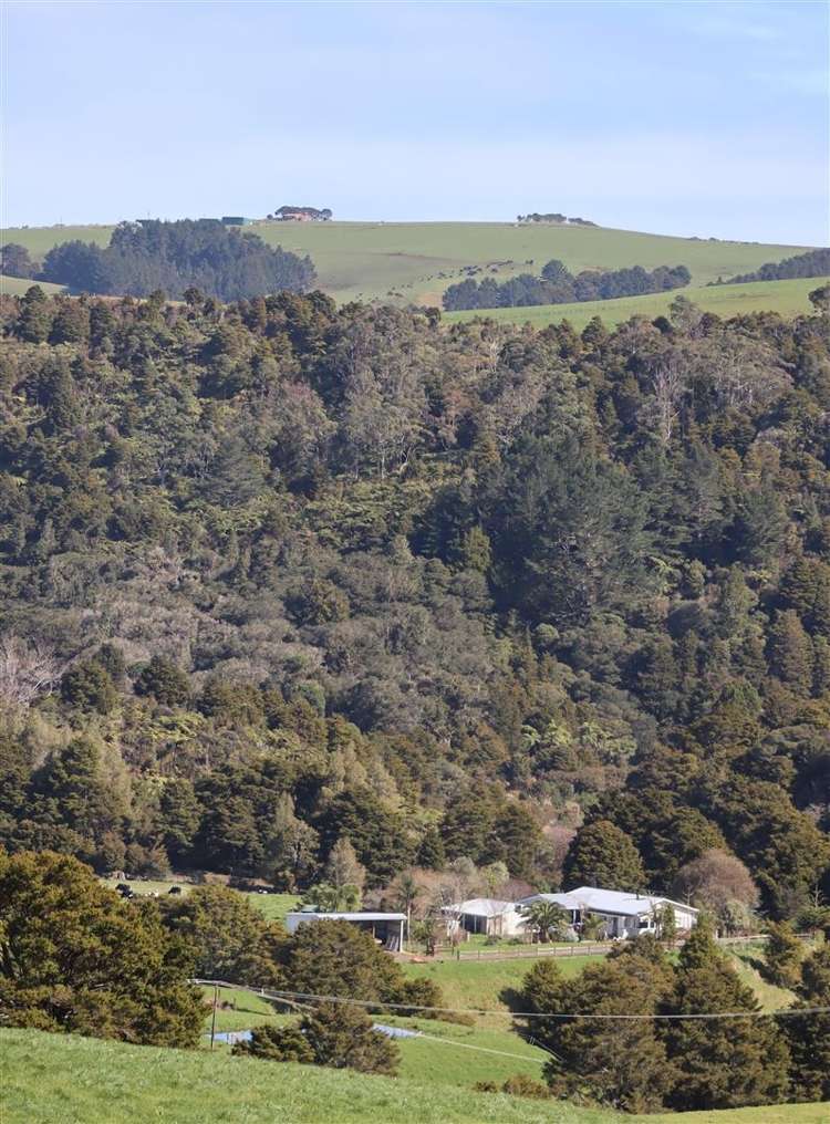 112 Opouteke Road Dargaville Surrounds_16