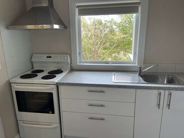 17B Rakau Road Hataitai_3
