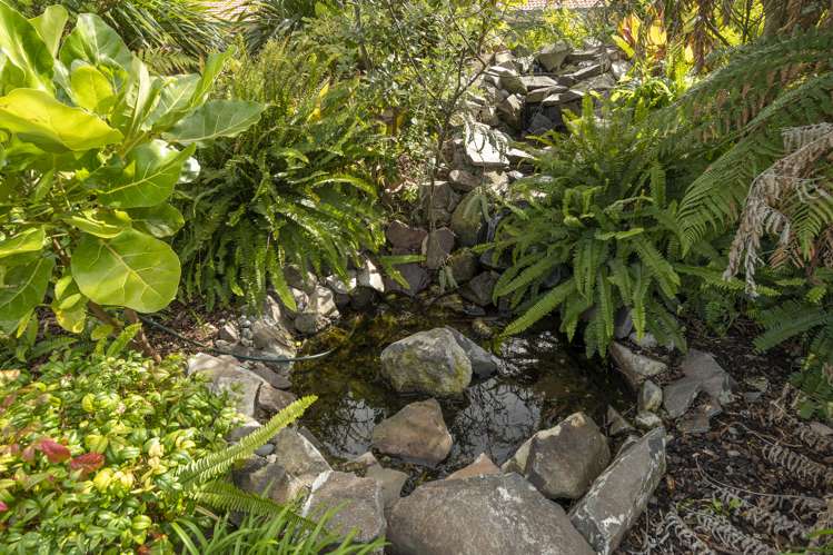 49/111 Santa Monica Drive Papamoa_13