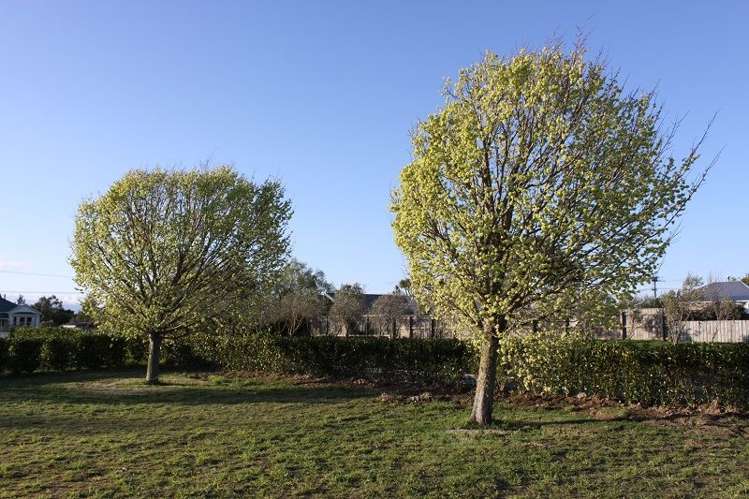 28 Tuscan Lane Martinborough_2