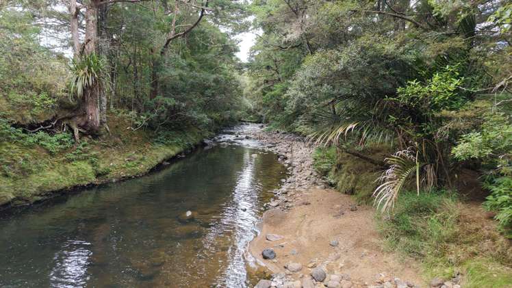 Lot 3/286 Mangakaretu Road Waipapa_20