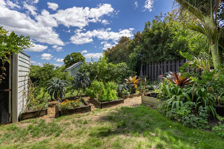 85 Rose Road Grey Lynn_14