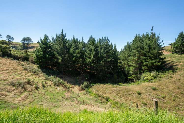 98 Pekanui Road Puketotara_24