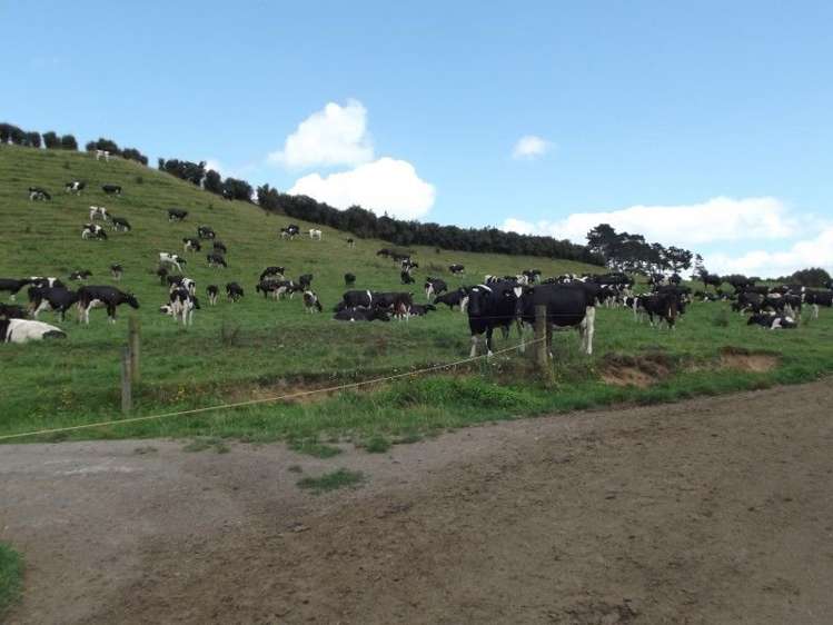 678 Wingrove Road Stratford_23