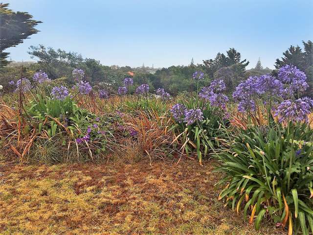 11 Kawau Grove Waikanae Beach_2