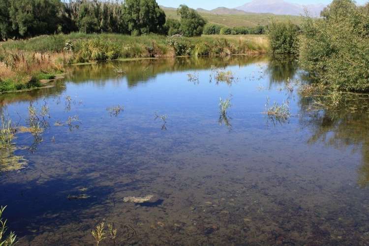 766 Hakataramea Valley Road Hakataramea Valley_9