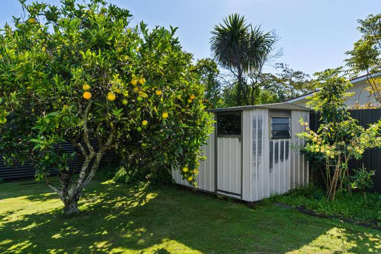 19 Norman Road Te Hapara_21
