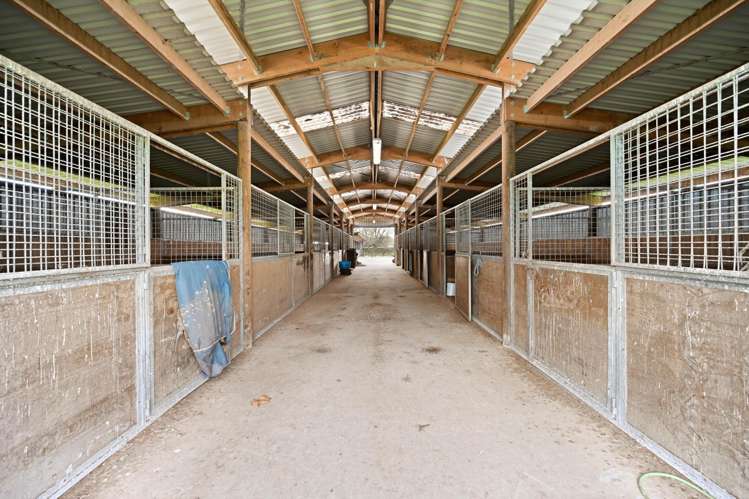 59 Racecourse Road Cambridge_4