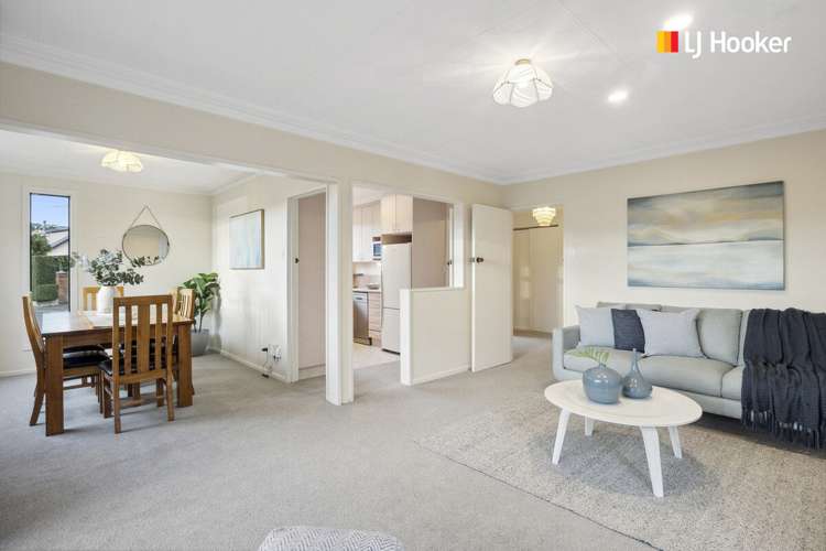 8 Meuse Lane Andersons Bay_7