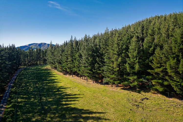 8P Davaar Road Greta Valley_9