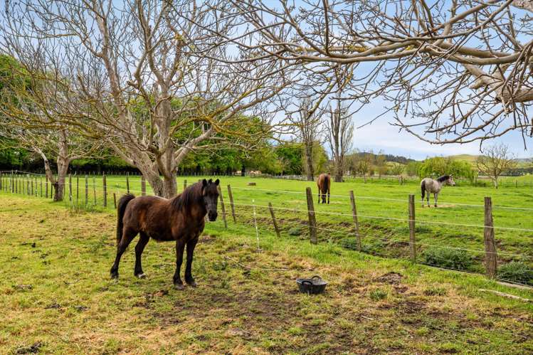 559 Raukawa Road Raukawa_23